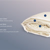 A rendered image showing each layer the Organic Pillow